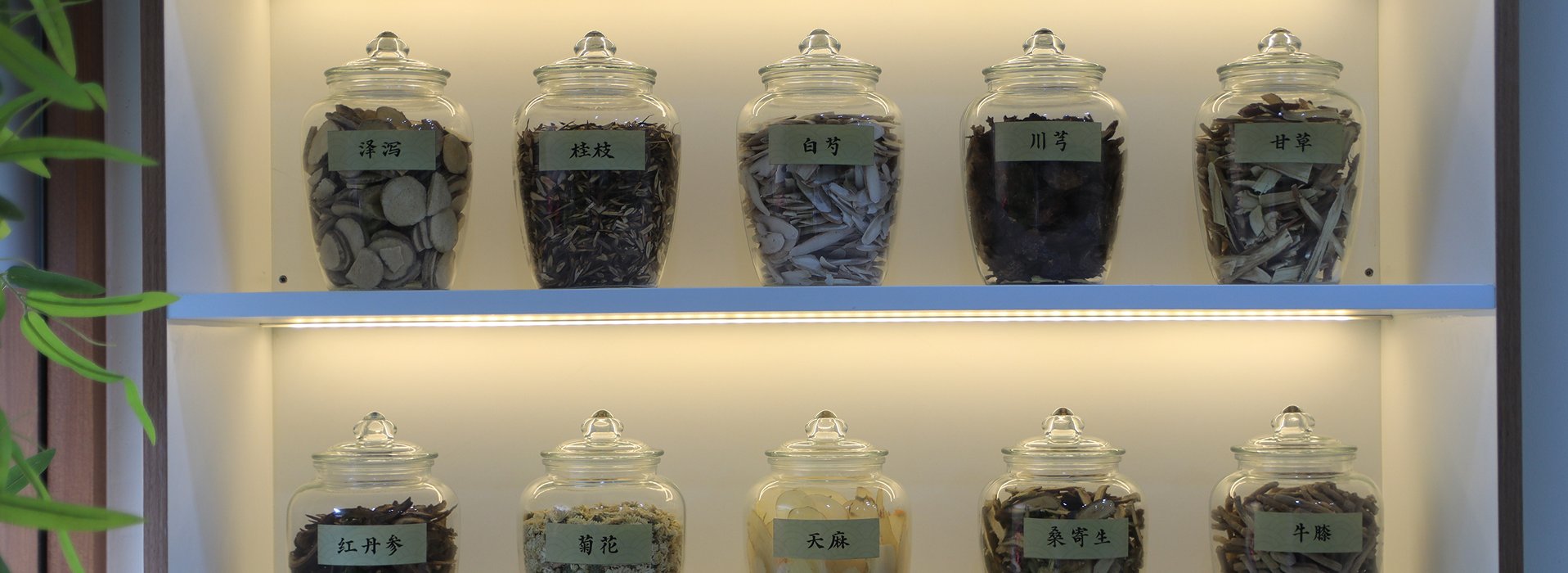 กุยลิ้มฮึงคลินิก